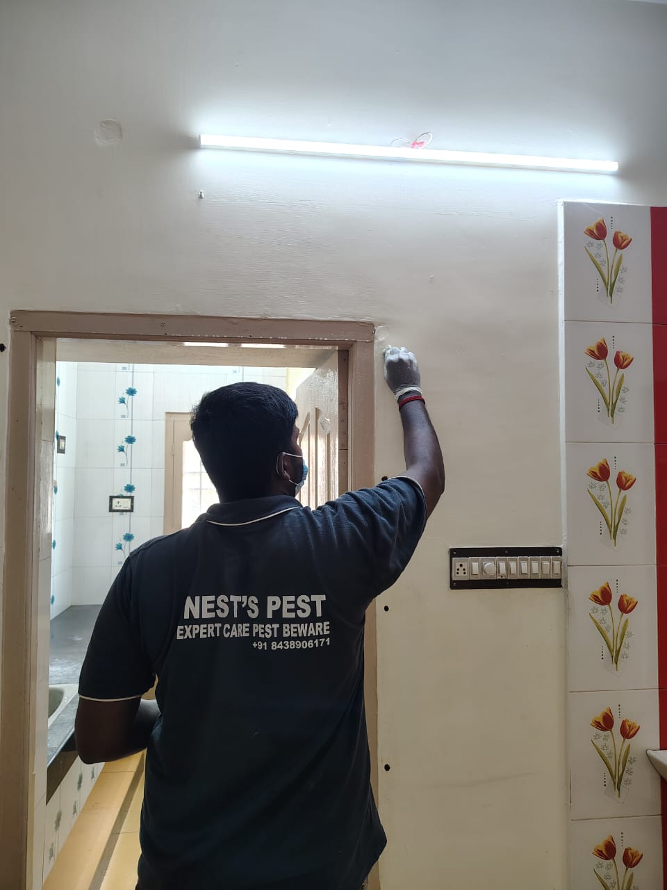 Pest Control Service